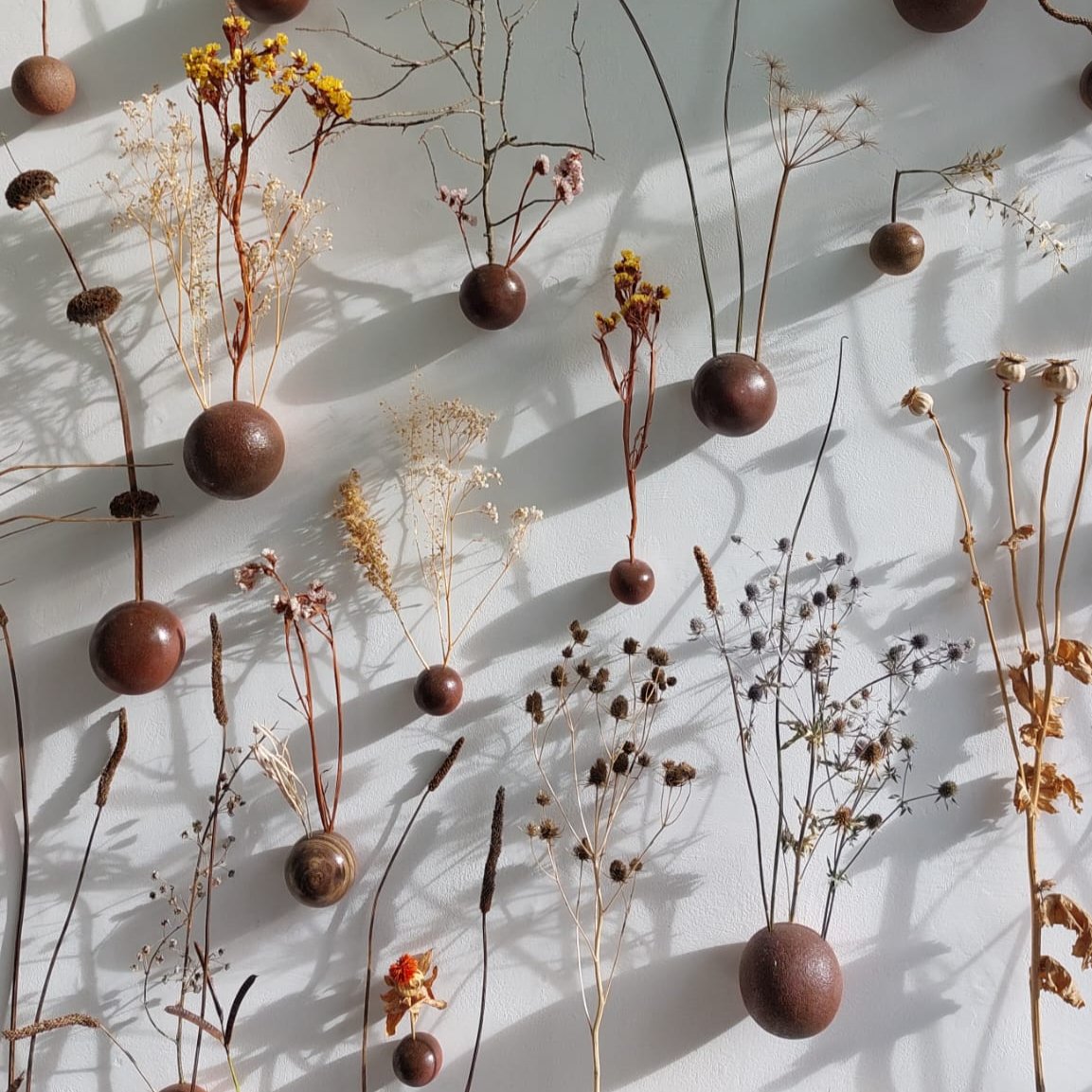 Wall Seed