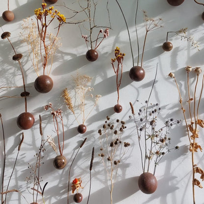 Wall Seed
