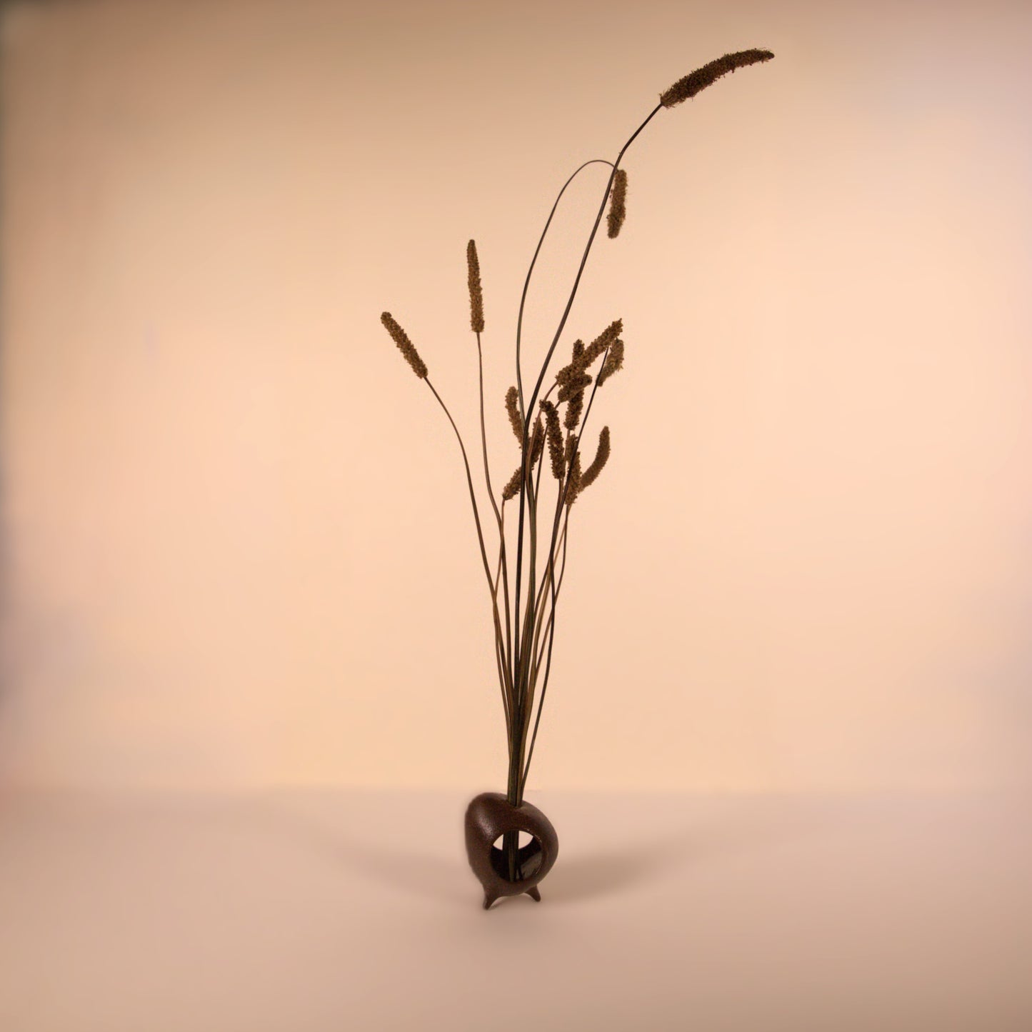 Sprouting Egg