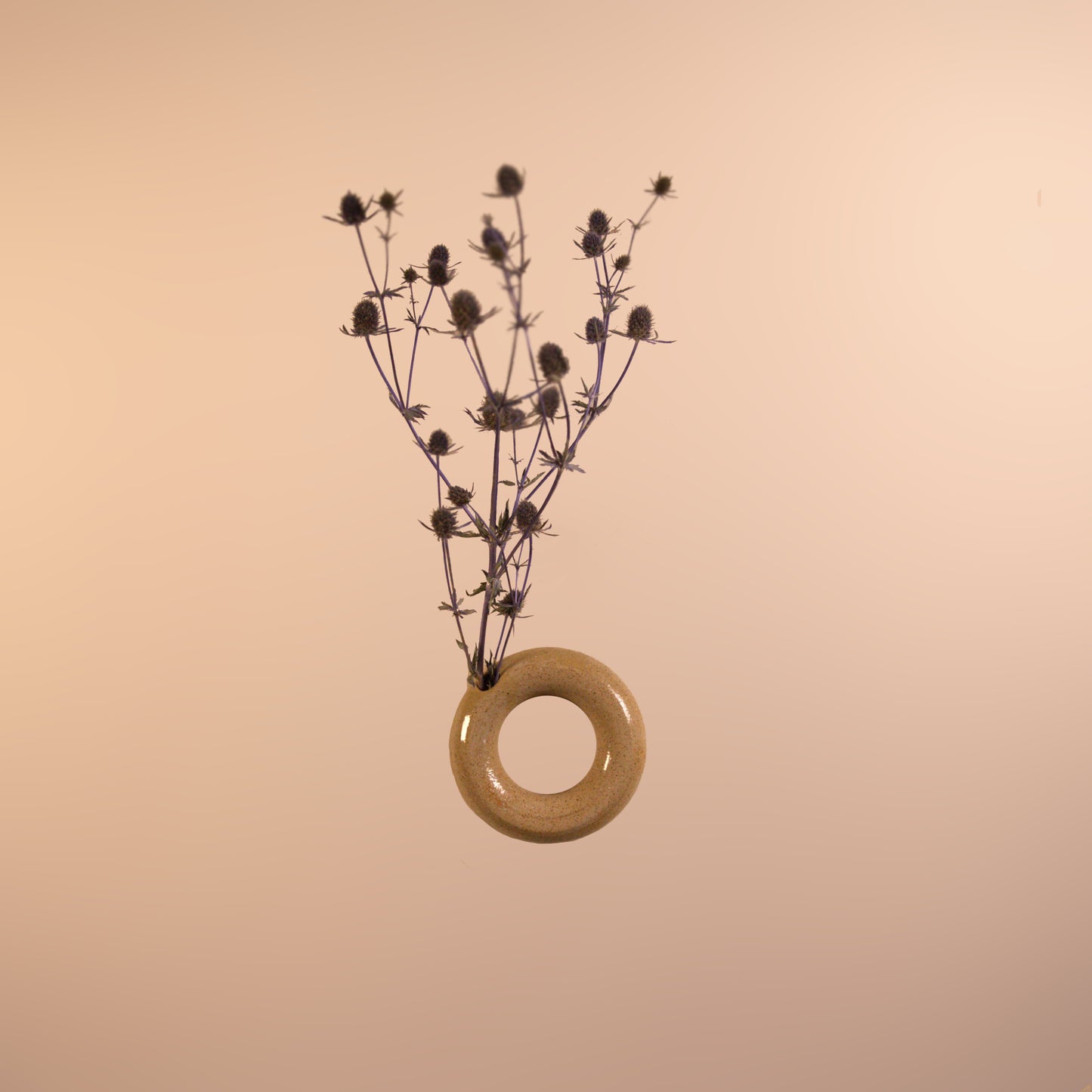 Wall Ring